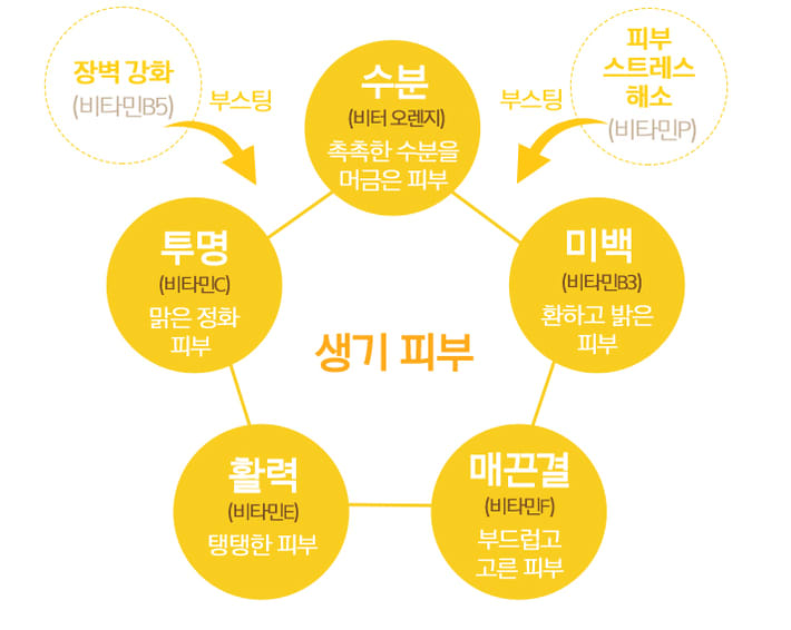 7가지 생기 비타민 콤플렉스 이미지 - 하단 문구 참조