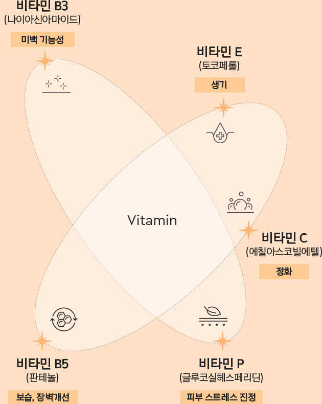비타민 B3 (나이아신아마이드) 미백 기능성, 비타민 E (토코페롤) 생기, 비타민C (에칠아스코빌에텔) 정화, 비타민 B5 (판테놀) 보습, 장벽개선, 비타민 P (글루코실헤스페리딘) 피부 스트레스 진정
